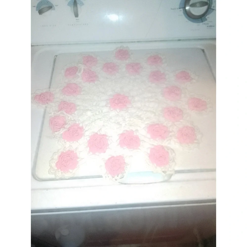 Vintage Handmade Pink & White Crochet Garden‎ Rose Table Doily 19